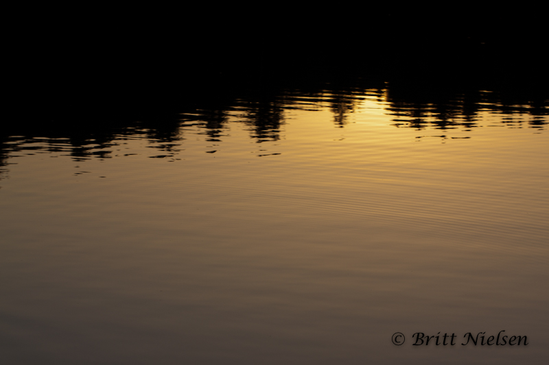 Nature's Reflections ©Britt Nielsen